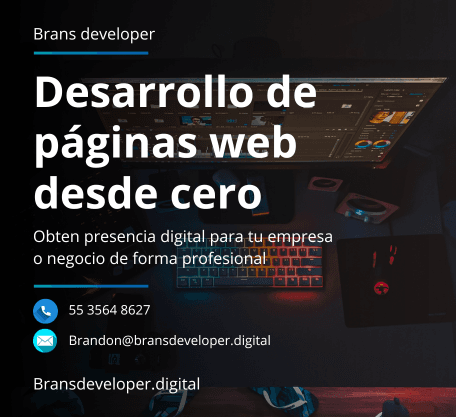 Desarrollador de paginas web